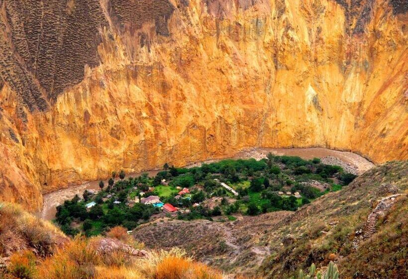 هاستل Paraiso Las Palmeras Lodge