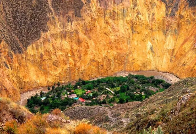 ユースホステル Paraiso Las Palmeras Lodge