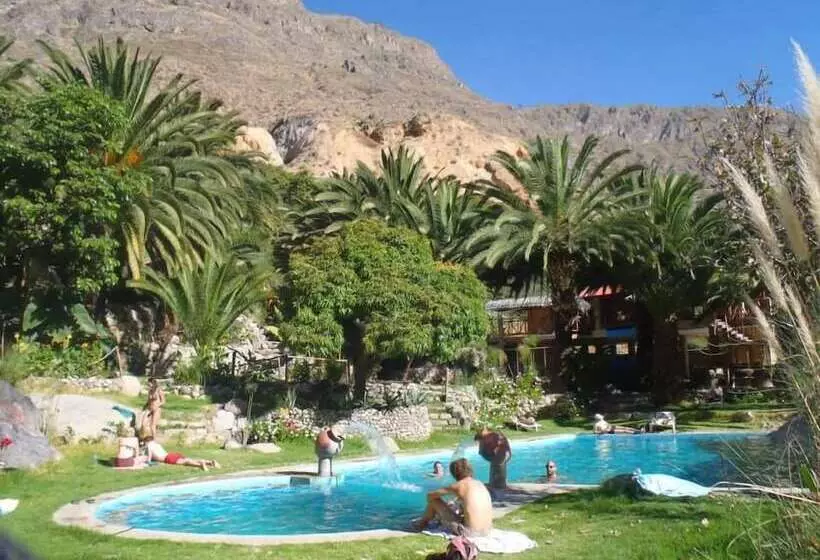 ユースホステル Paraiso Las Palmeras Lodge