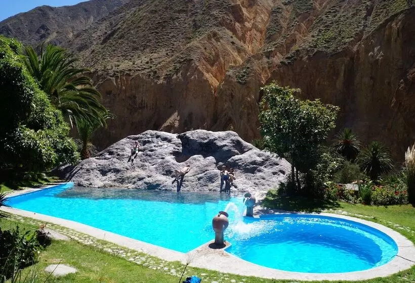 ユースホステル Paraiso Las Palmeras Lodge