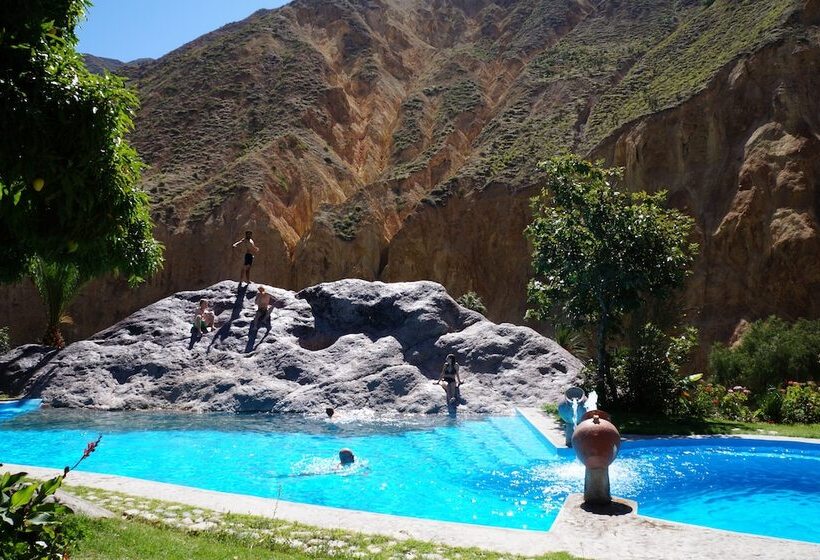 هاستل Paraiso Las Palmeras Lodge