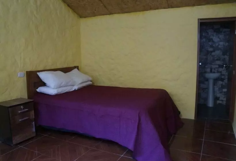 ユースホステル Paraiso Las Palmeras Lodge