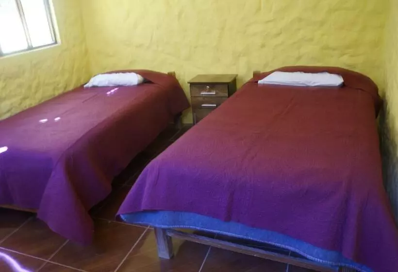 ユースホステル Paraiso Las Palmeras Lodge