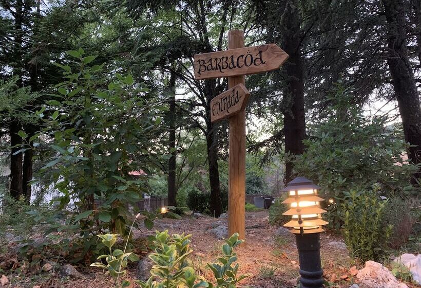 ベッドアンドブレックファースト El Abejaruco