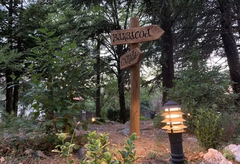 ベッドアンドブレックファースト El Abejaruco