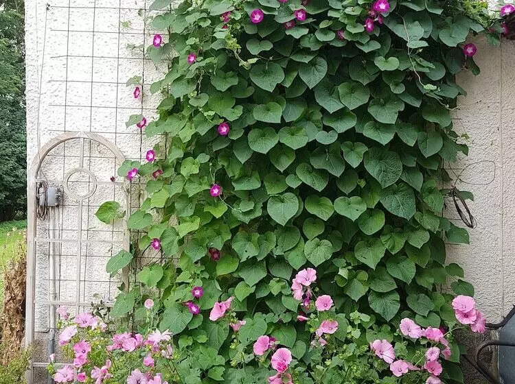 Aamiaismajoitus (B&B) Hesede Hovedgård