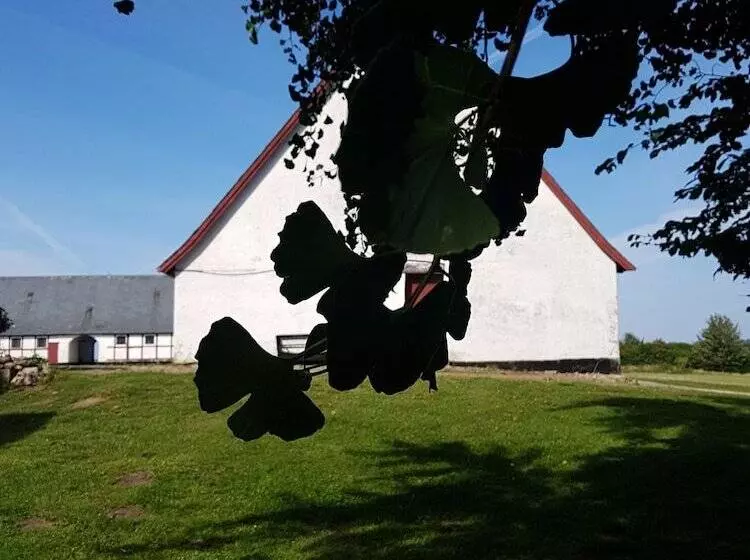 Aamiaismajoitus (B&B) Hesede Hovedgård