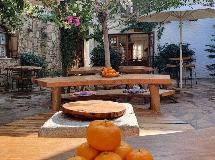 צימר Monza House Otel