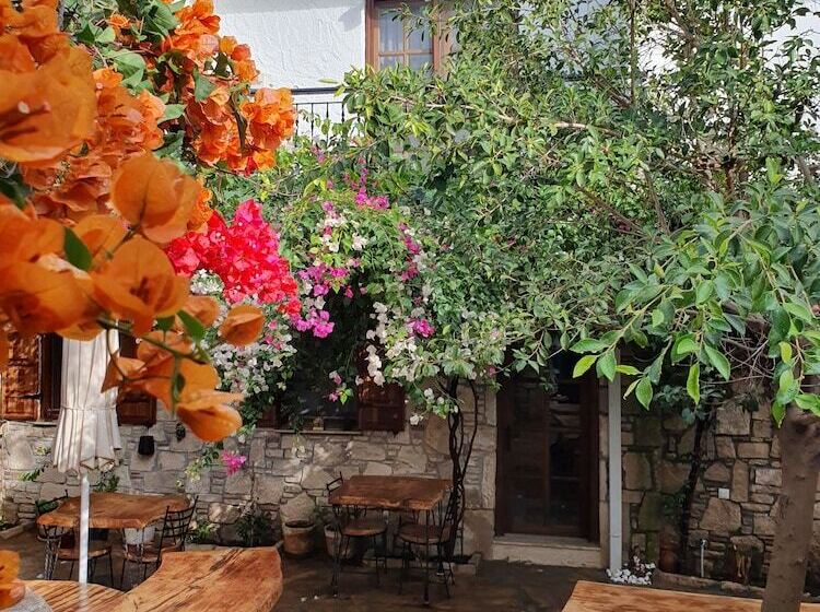 צימר Monza House Otel