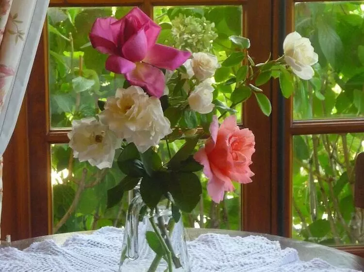 Hotelli Boutique Solaz Bella Vista De Colchagua