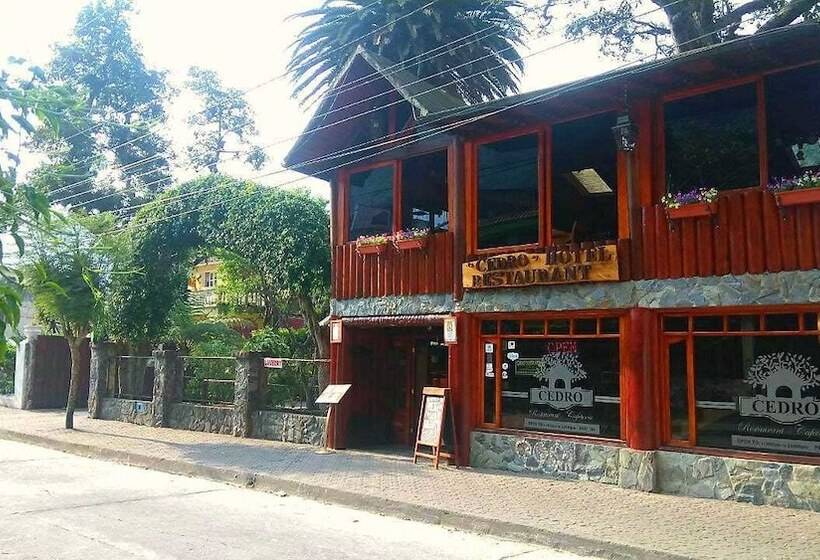 酒店 Cedro