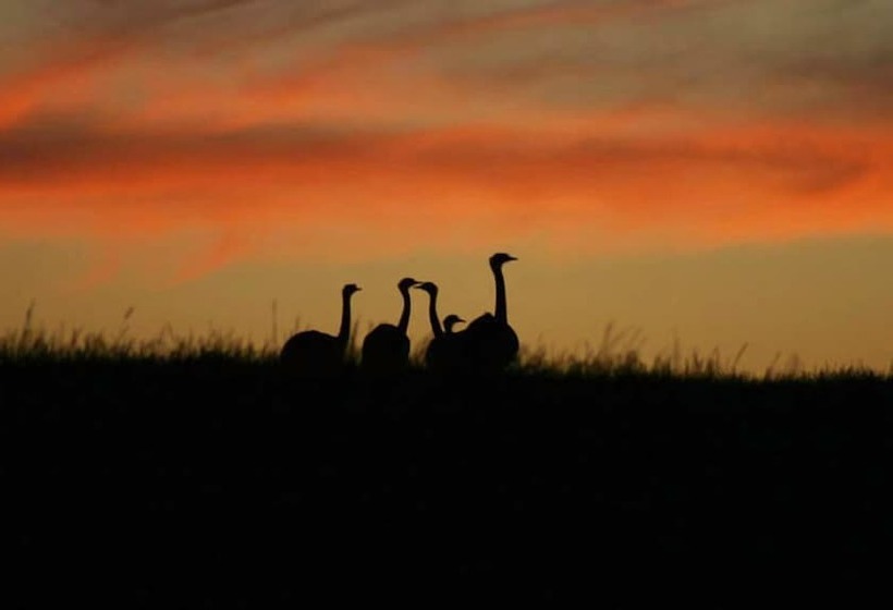 Hotel Estancia Anastasio By Folk