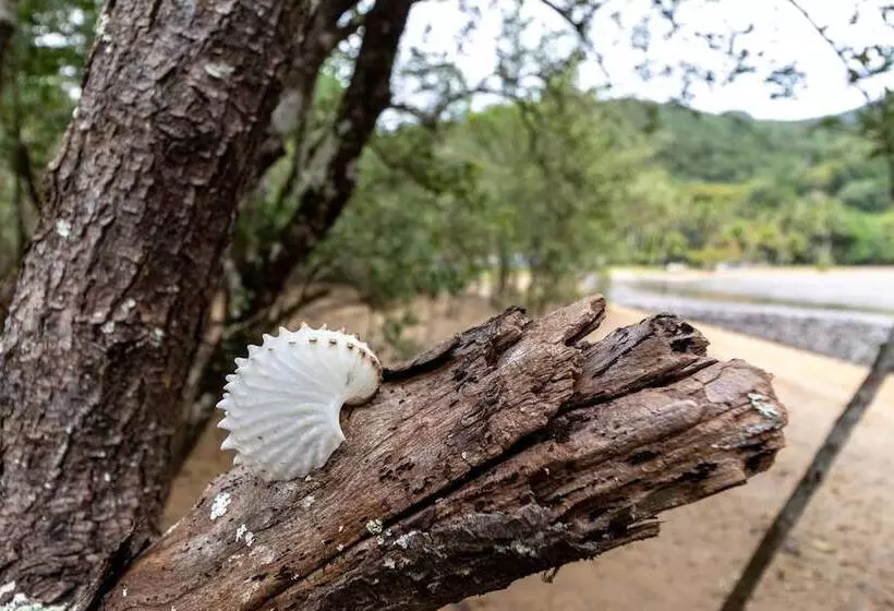 ホテル Fauna Pousada