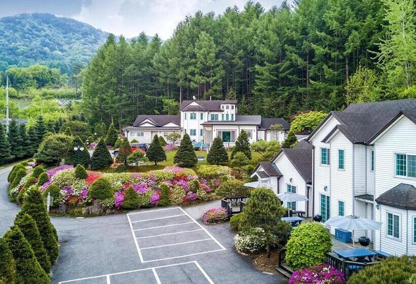 호텔 Greenhill Pension