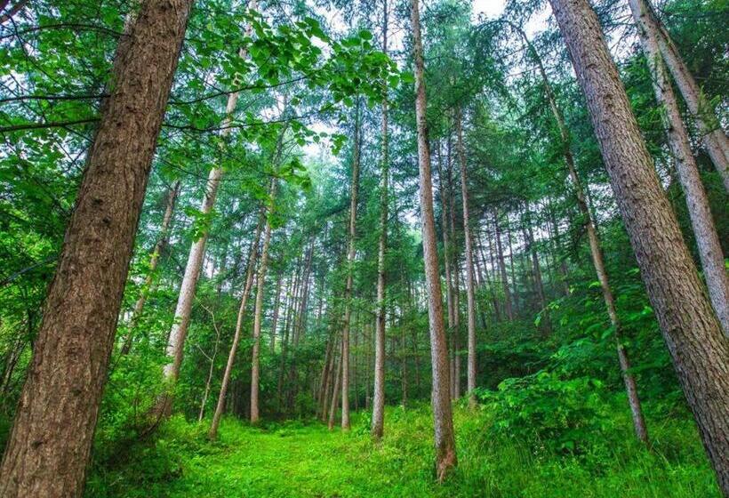 호텔 Greenhill Pension