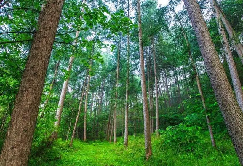 Hotelli Greenhill Pension