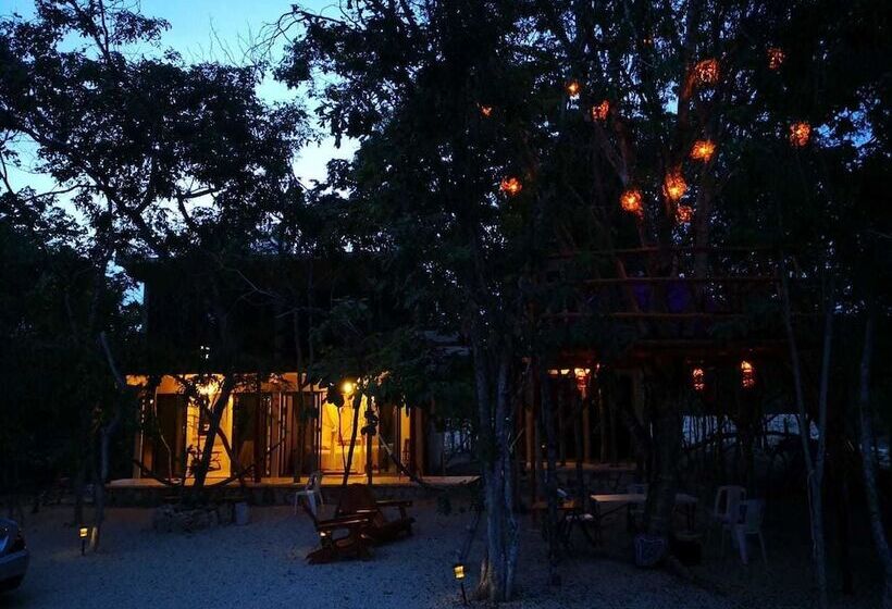 Отель Iguana Rana Cabins Bacalar