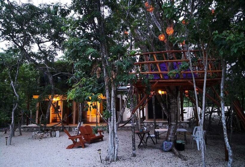 Отель Iguana Rana Cabins Bacalar