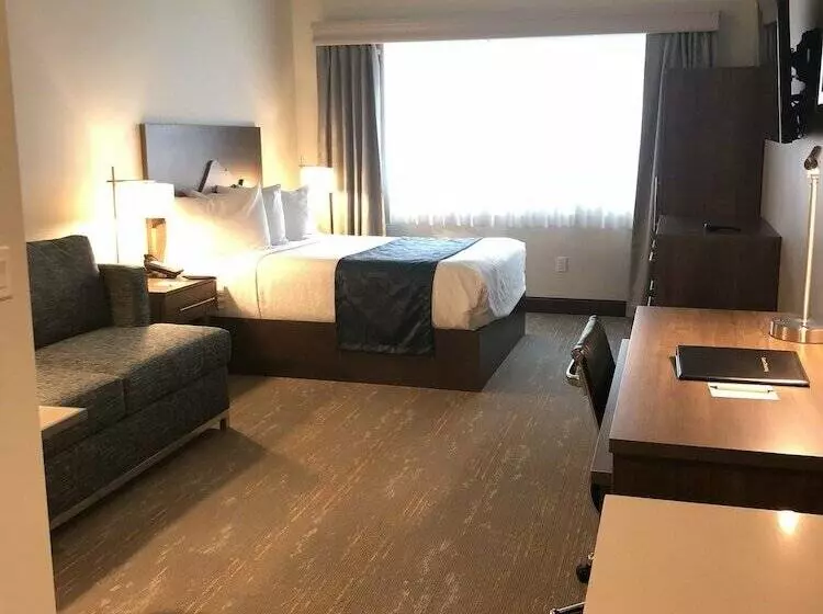 ホテル Kodiak Compass Suites