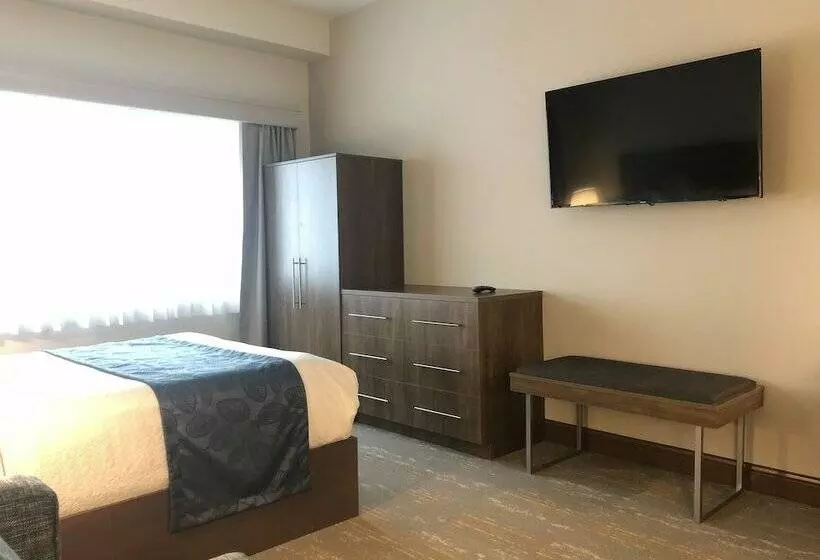 ホテル Kodiak Compass Suites