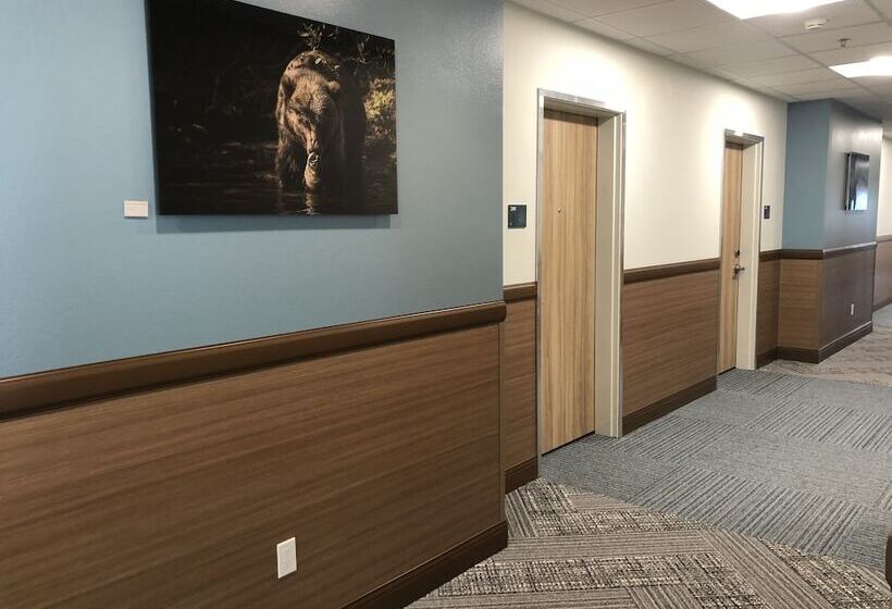 Szálloda Kodiak Compass Suites