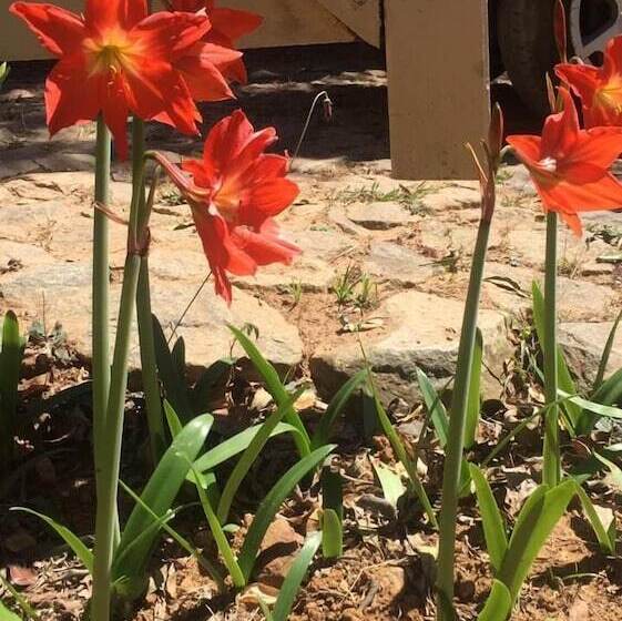 בית מלון כפרי Pousada Quinta Do Barão