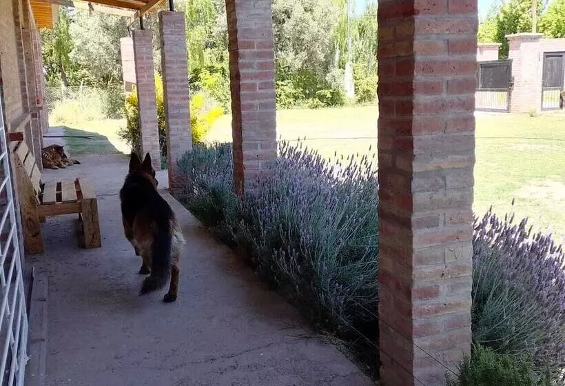 ペンション Descanso Cordillerano