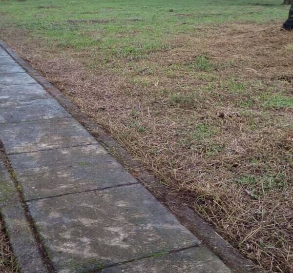 استراحتگاه Centro Vacacional Y De Eventos Araguaney