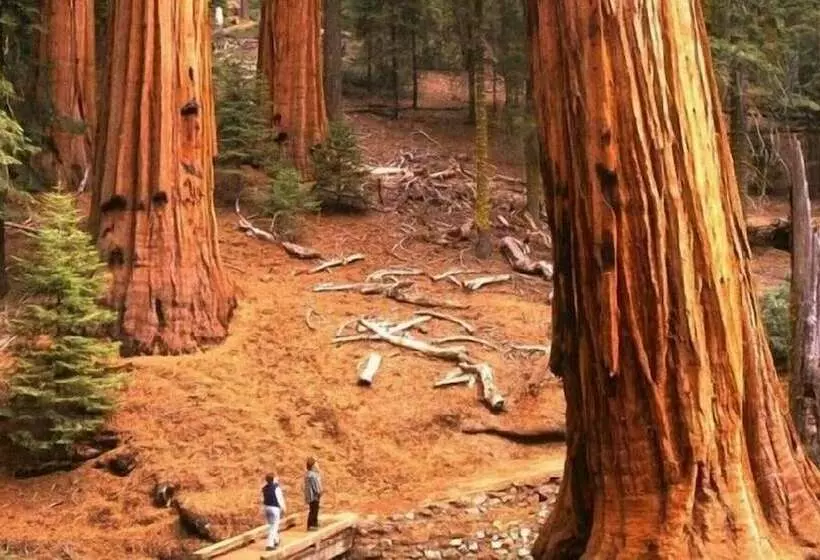 Yosemite Scenic Wonders  Cedar Mountain