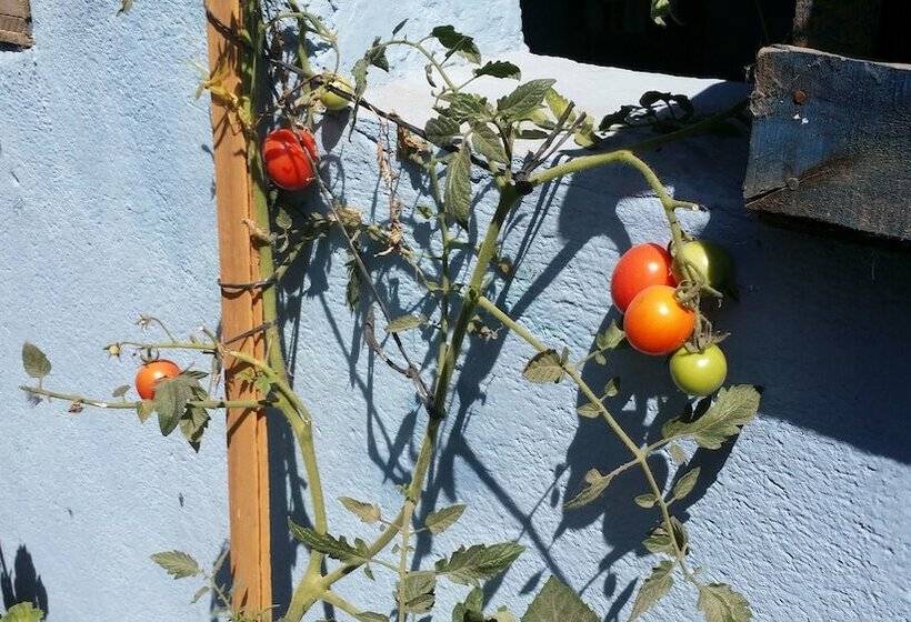 Casa Encuentro Hostel