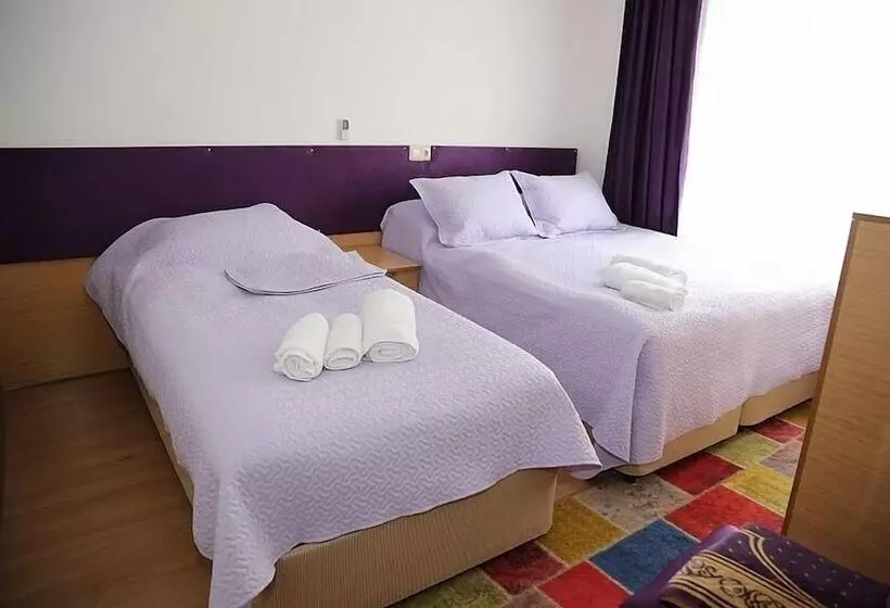 Antik Otel Unye