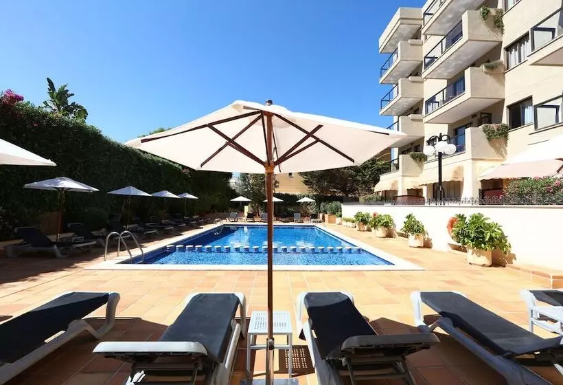 Apartamentos Jade   Adults Only +16