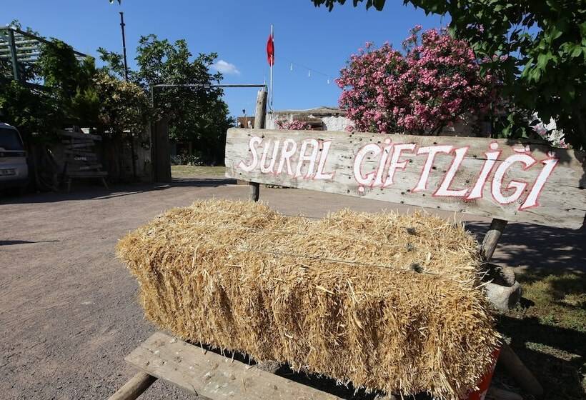 צימר Sural Ciftligi