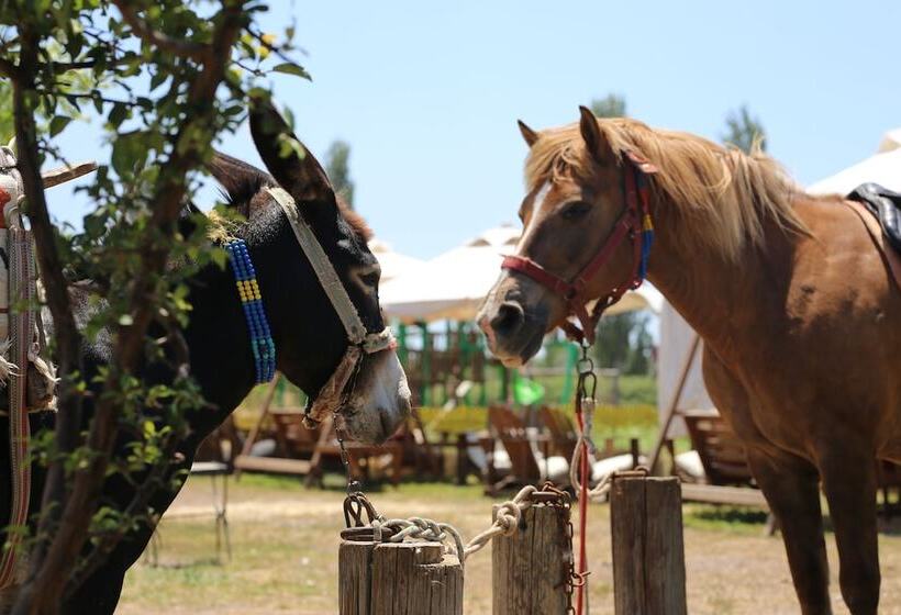 צימר Sural Ciftligi