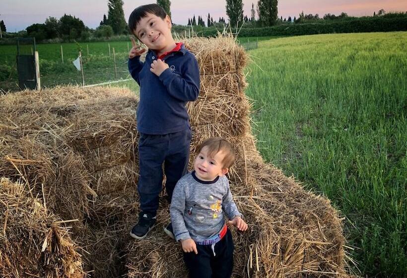 צימר Sural Ciftligi