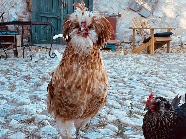 צימר Sural Ciftligi