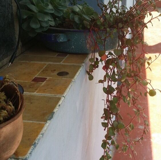 Casa Encuentro Hostel