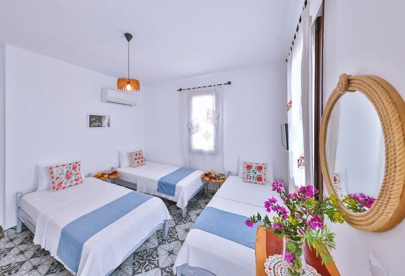 Dantel Butik Ev Pansiyon