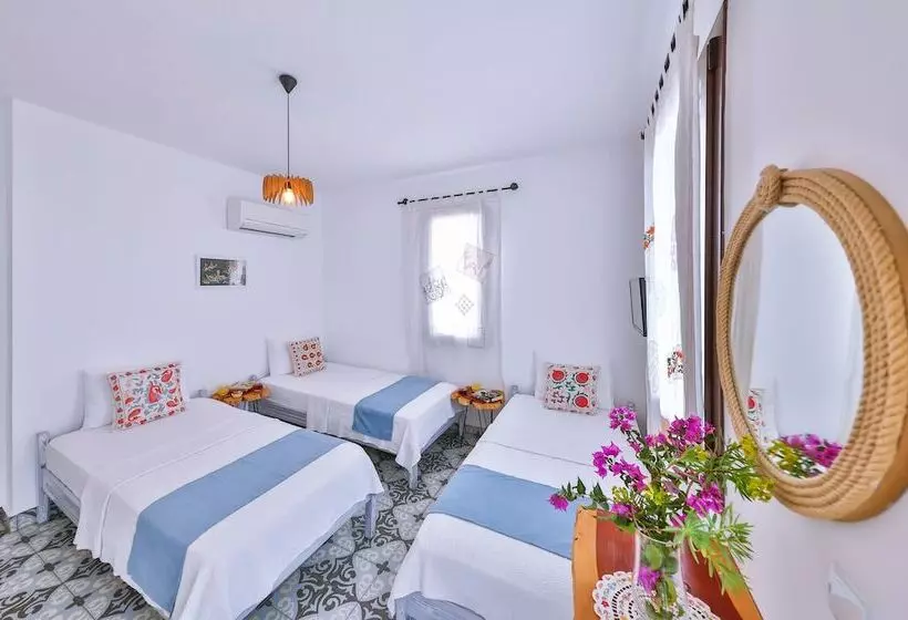 Dantel Butik Ev Pansiyon