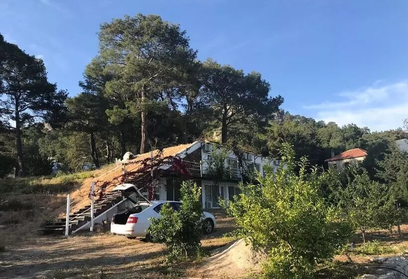 Farmhill Pension