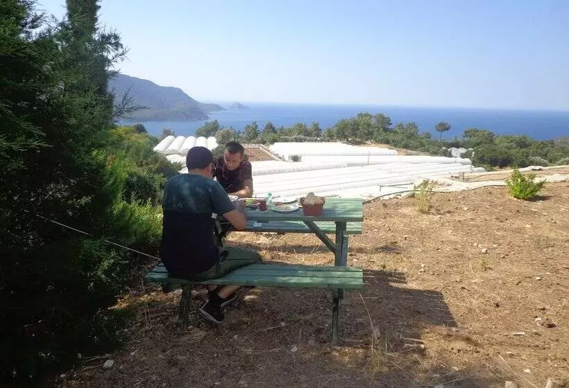 Farmhill Pension