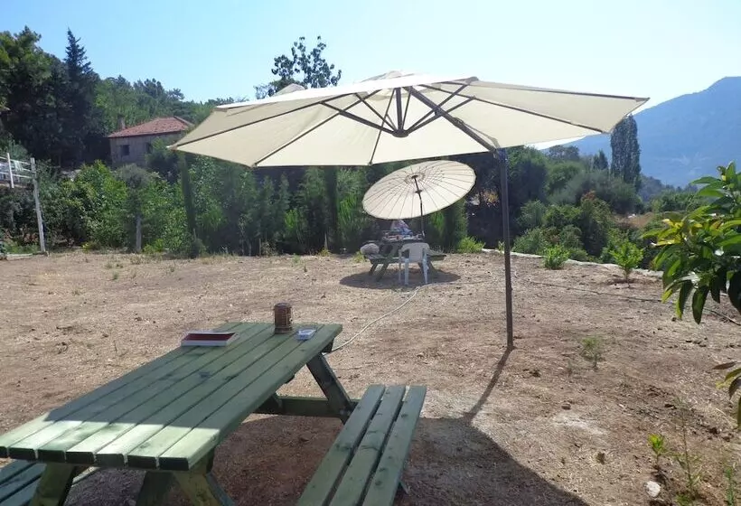 Farmhill Pension