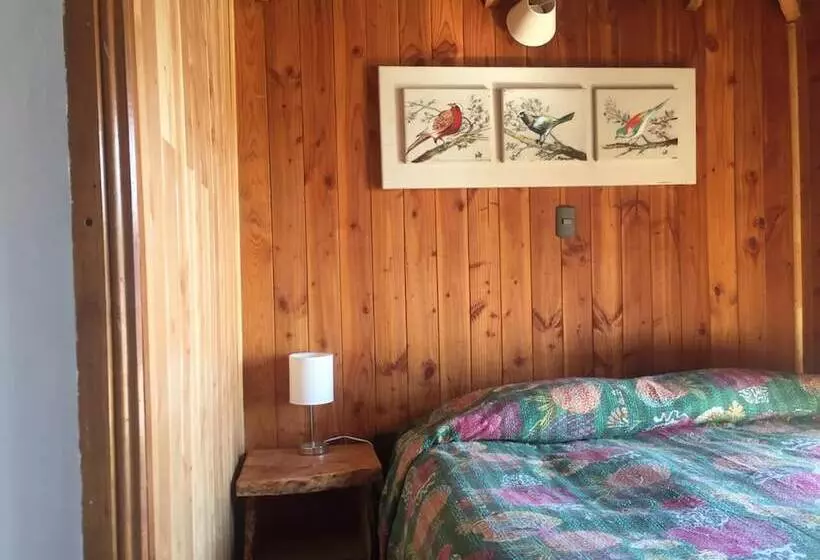Hostel Casa Kütral