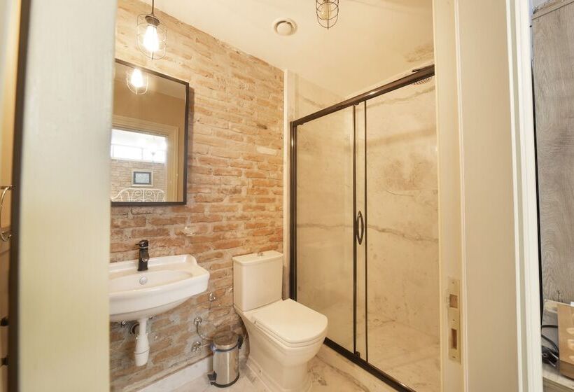 ホテル Avlulu Konak