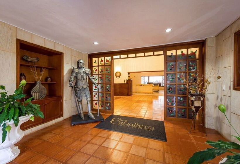 هتل Boutique Casa Caballero