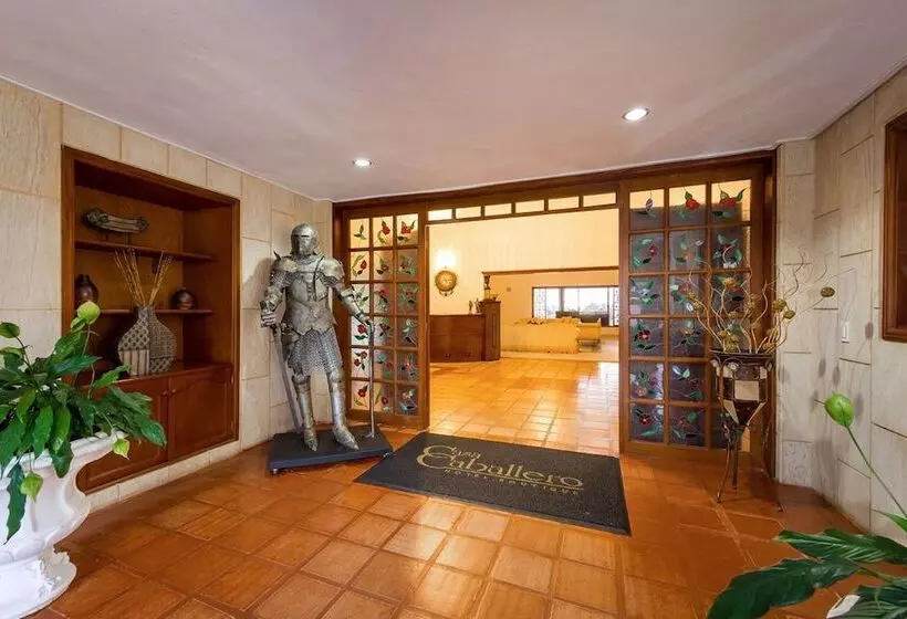 ホテル Boutique Casa Caballero