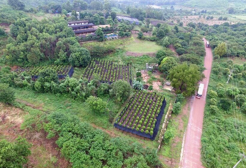 فندق Myhouse Resort