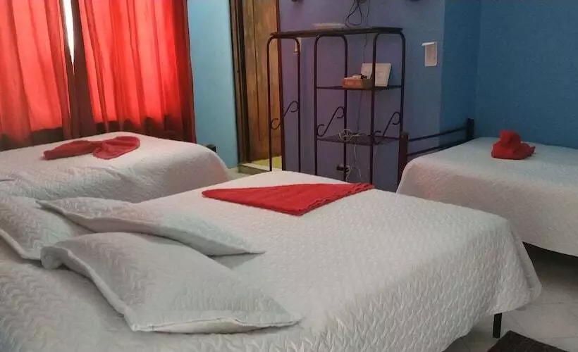 Hotelli Portal De Flandes