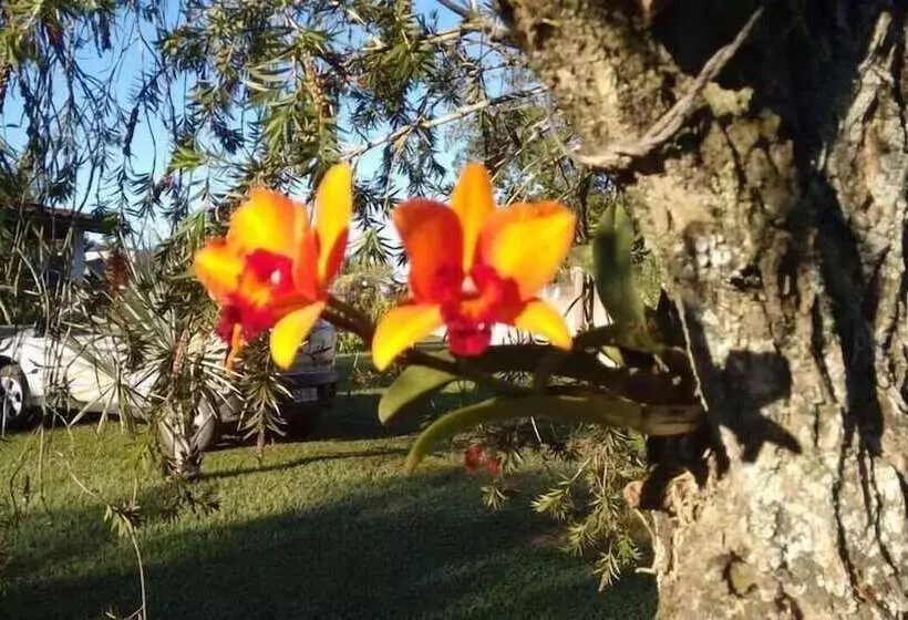 ホテル Pousada San Mariz