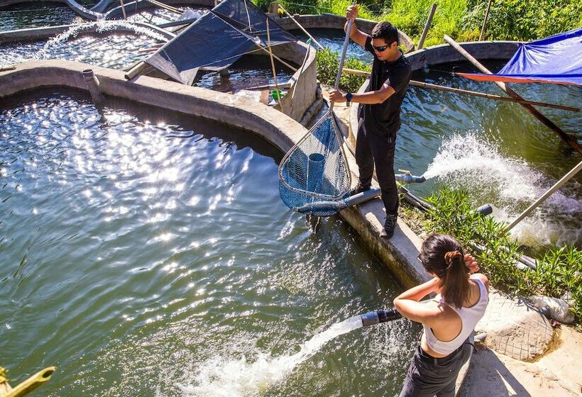 هتل Topas Riverside Lodge